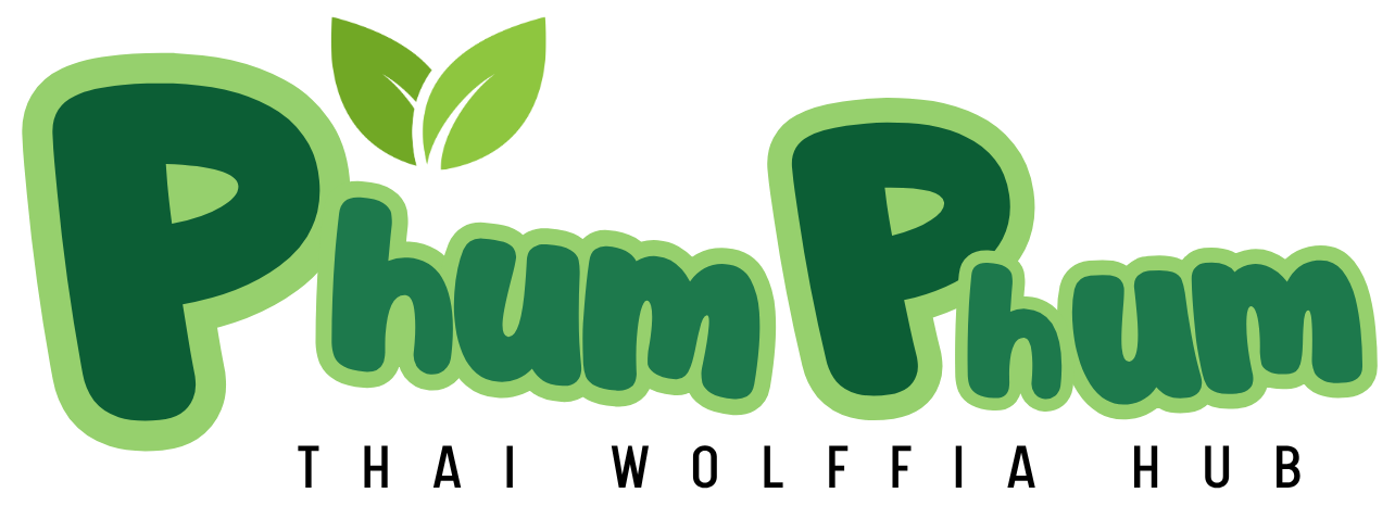 PhumPhum Logo